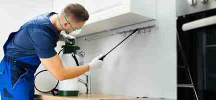 How Much Does Pest Control Cost?