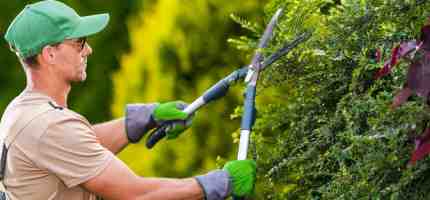 How Much Does Garden Landscaping Cost