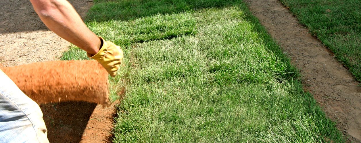Landscaping Checklist