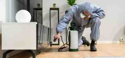 5 Signs You Need a Professional Pest Control Service