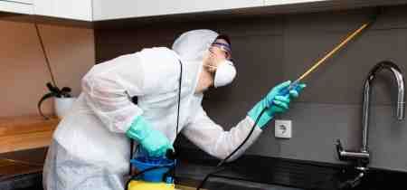 Most Common Household Pests in Canada