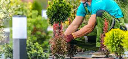 How Much Does a Gardener Cost