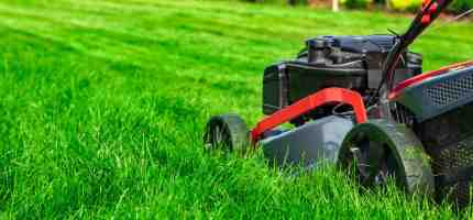 Spring Lawn Care Tips for Canadian Yards